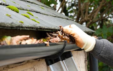 gutter cleaning Woolaston, Gloucestershire